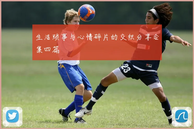 生活琐事与心情碎片的交织分享合集四篇