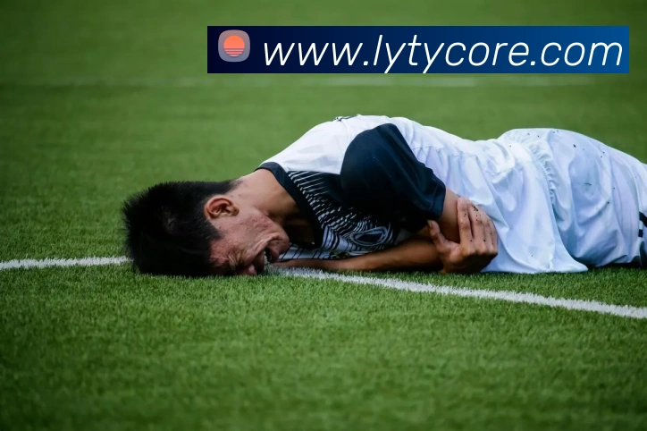 乐鱼体育APP 封面图